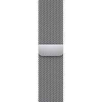Ремешок Apple Watch 41mm Silver Milanese Loop фото