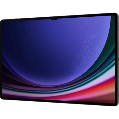 Планшет Samsung Galaxy Tab S9 Ultra Wi-Fi SM-X910 12/512GB Graphite EAC фото 3
