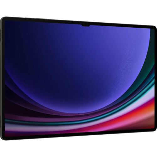 Планшет Samsung Galaxy Tab S9 Ultra Wi-Fi SM-X910 12/256GB Graphite фото 4