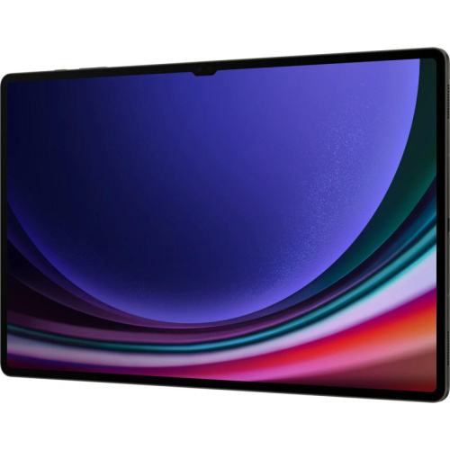 Планшет Samsung Galaxy Tab S9 Ultra Wi-Fi SM-X910 12/256GB Graphite фото 3